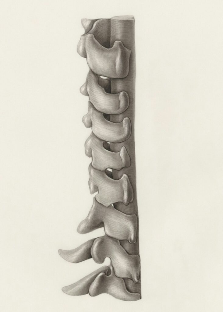 Photo by Europeana on Unsplash
